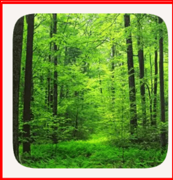Environment and Nature
